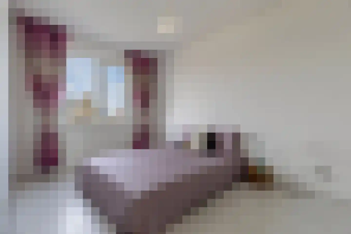 Op de Kollenberg 6 Sittard thumbnail 43