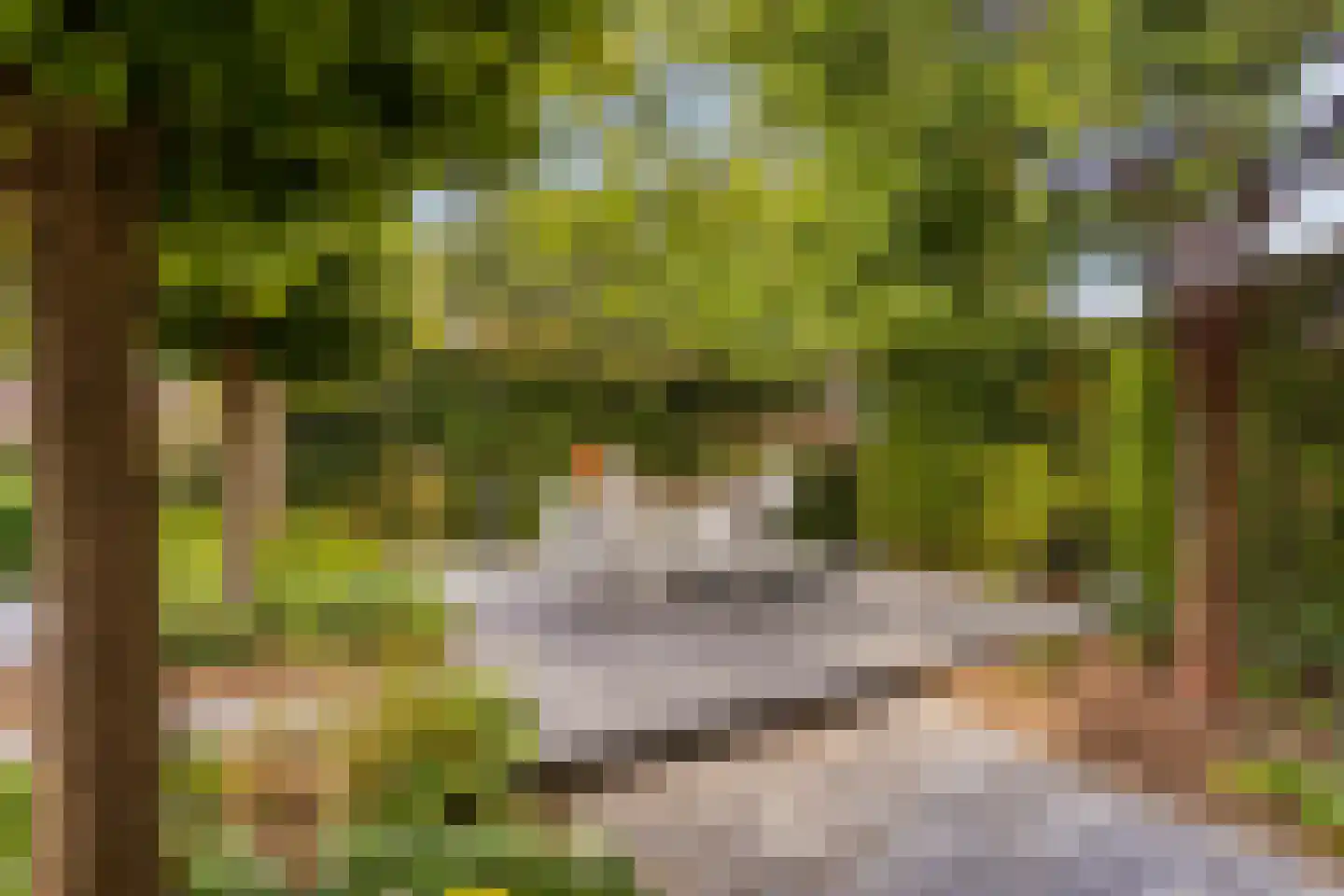 Op de Kollenberg 6 Sittard thumbnail 63