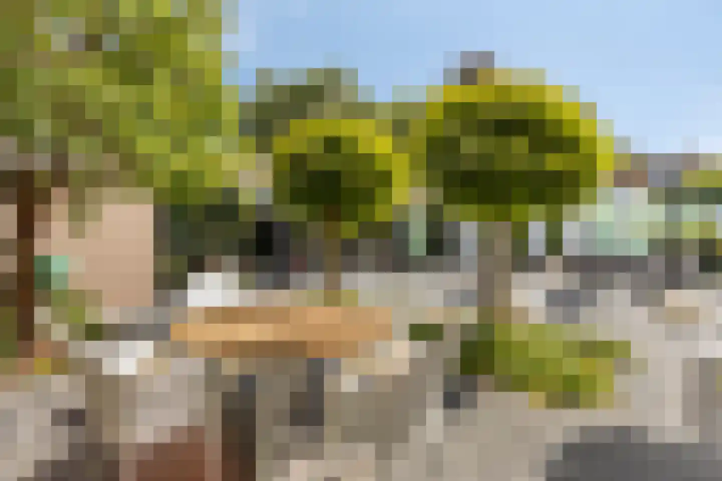 Op de Kollenberg 6 Sittard thumbnail 64