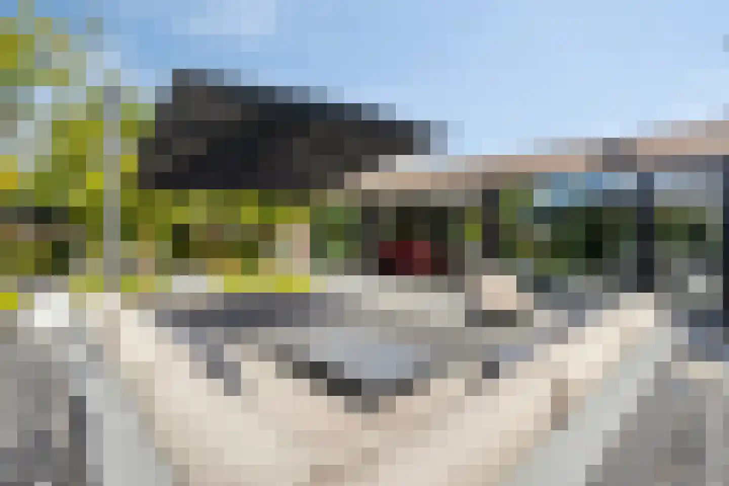 Op de Kollenberg 6 Sittard thumbnail 65