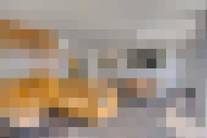 Op de Kollenberg 6 Sittard thumbnail 9