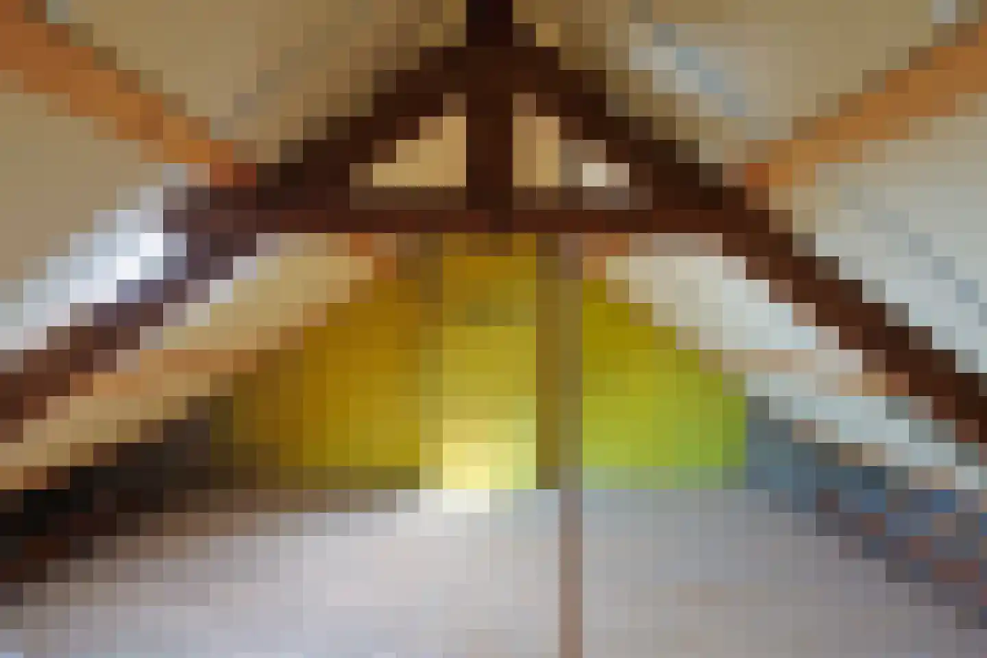 Op de Kraonkel 113 Geleen thumbnail 12