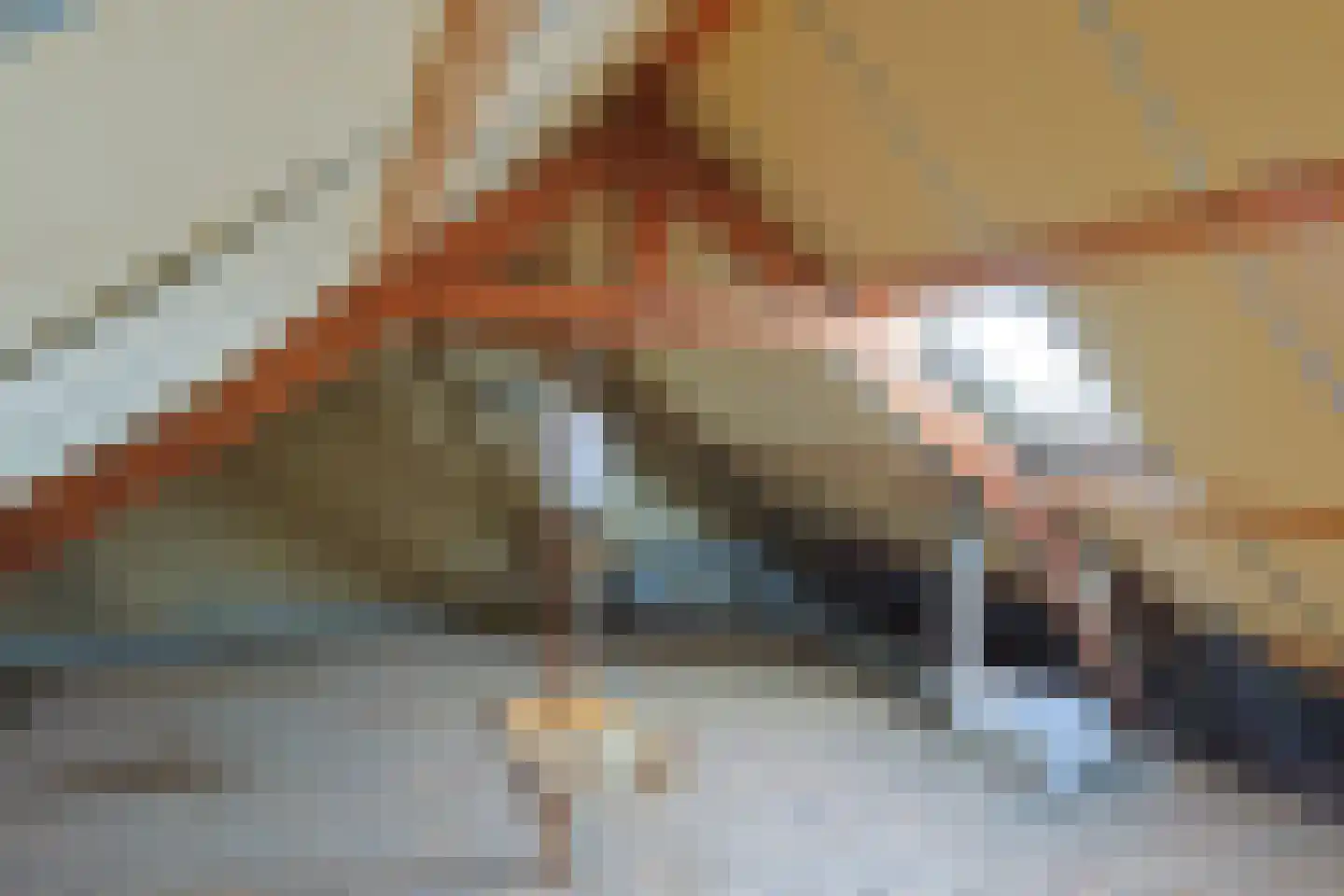 Op de Kraonkel 113 Geleen thumbnail 13