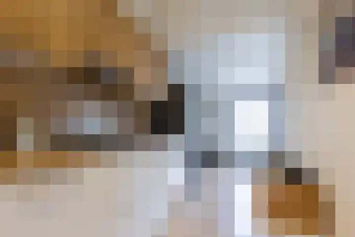 Op de Kraonkel 14 Geleen thumbnail 18