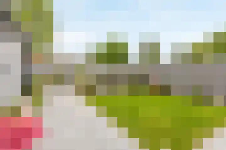 Op de Kraonkel 14 Geleen thumbnail 19