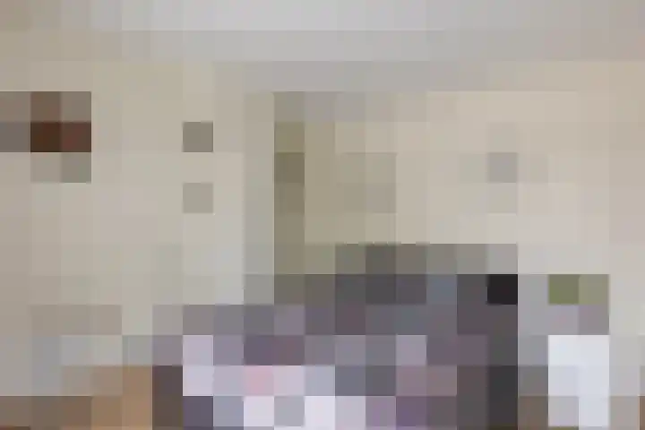 Op de Kraonkel 14 Geleen thumbnail 25