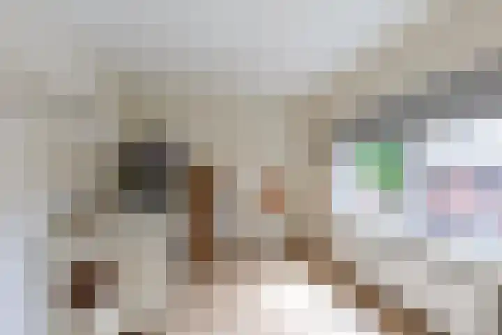 Op de Kraonkel 14 Geleen thumbnail 26
