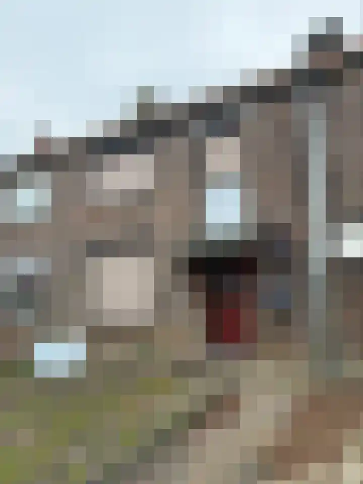 Op de Kraonkel 99 Geleen thumbnail 4
