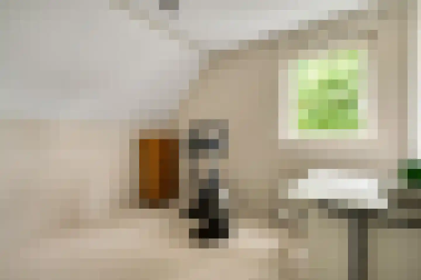 Op de Leues 1 Venlo thumbnail 31