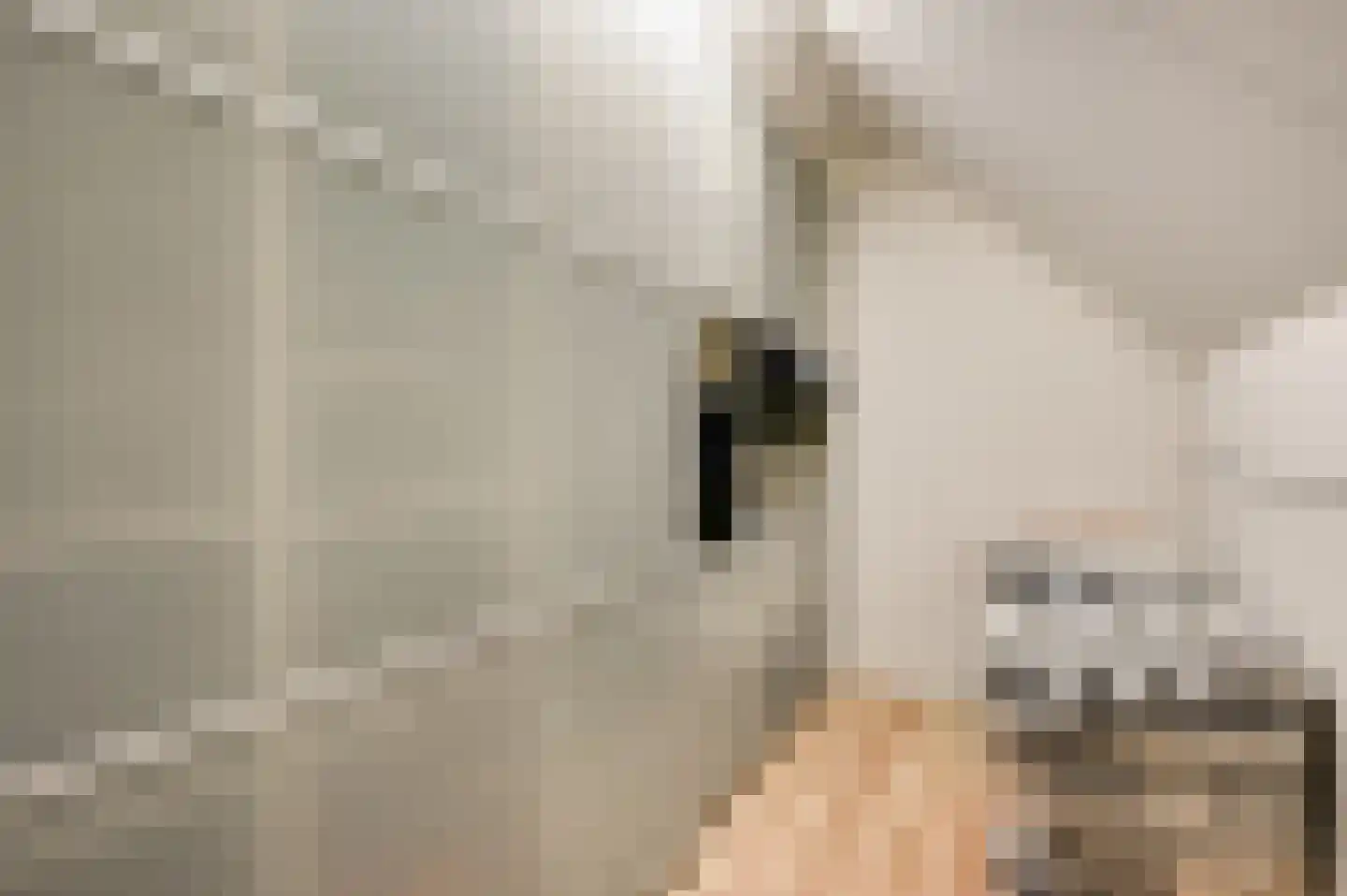 Op de Leues 1 Venlo thumbnail 41