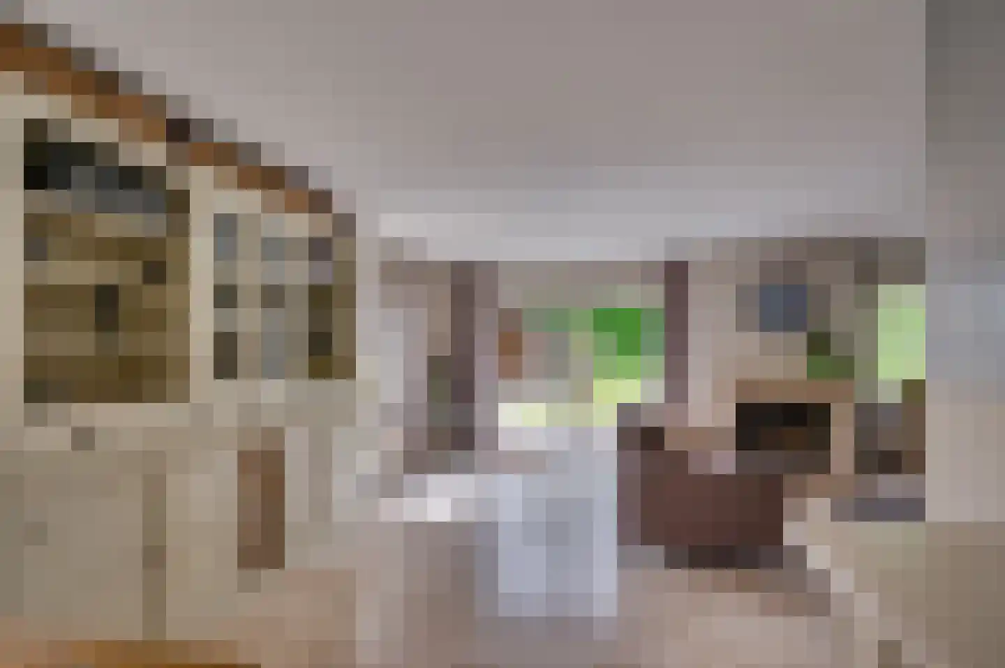Op de Leues 27 Venlo thumbnail 10