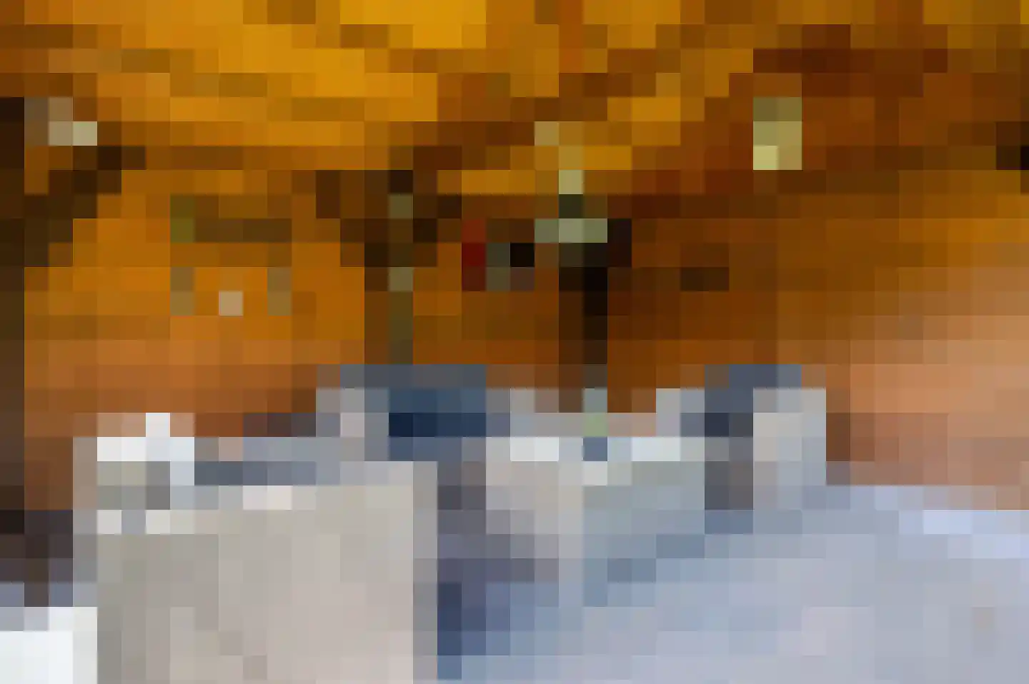 Op de Leues 27 Venlo thumbnail 47