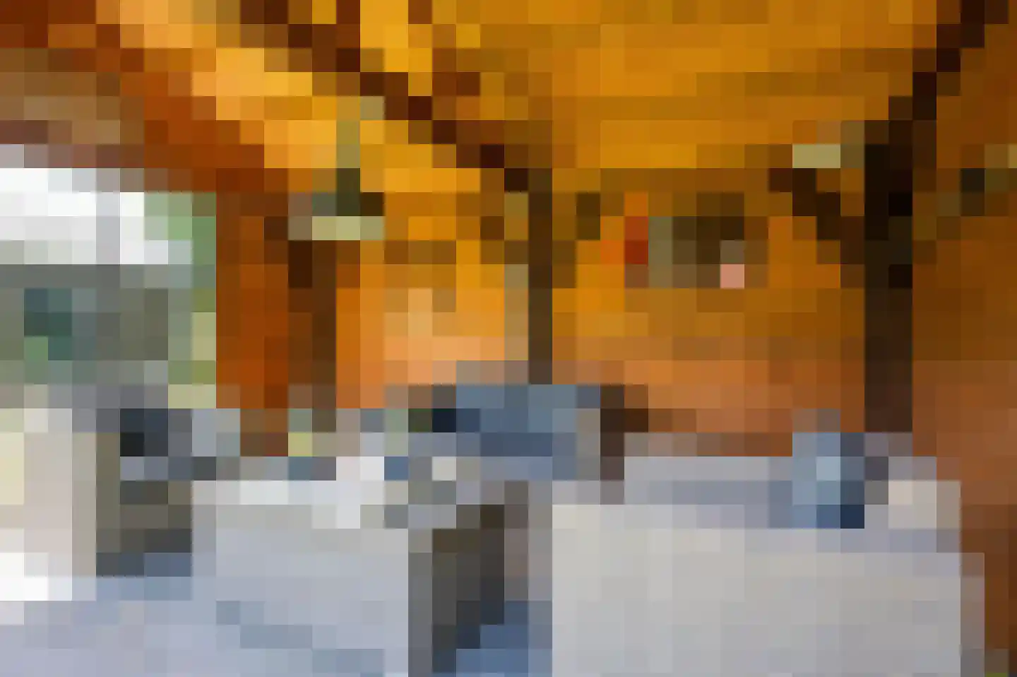 Op de Leues 27 Venlo thumbnail 48