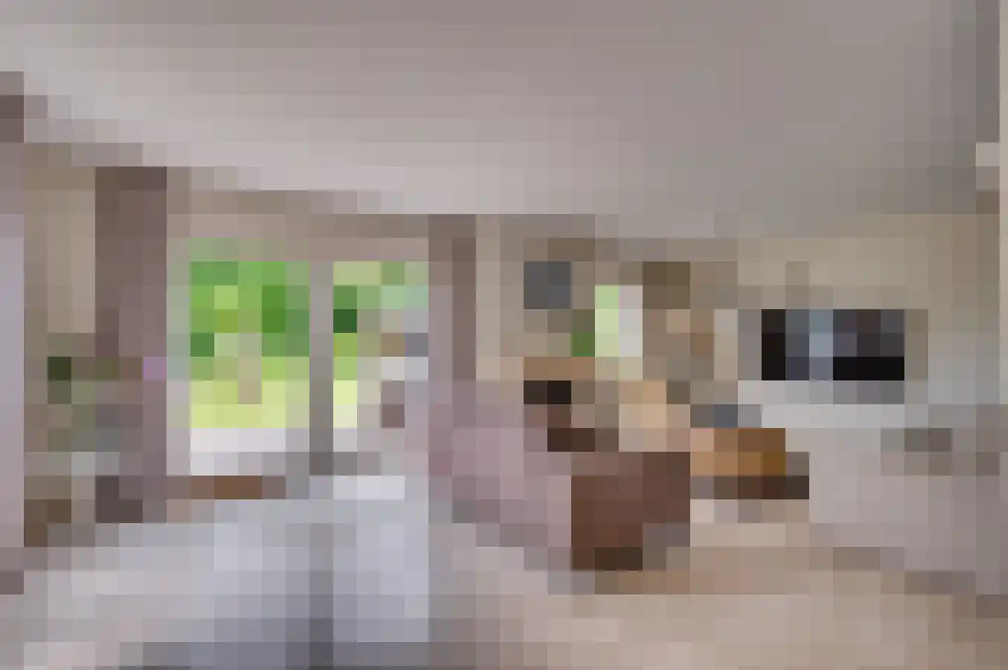 Op de Leues 27 Venlo thumbnail 5
