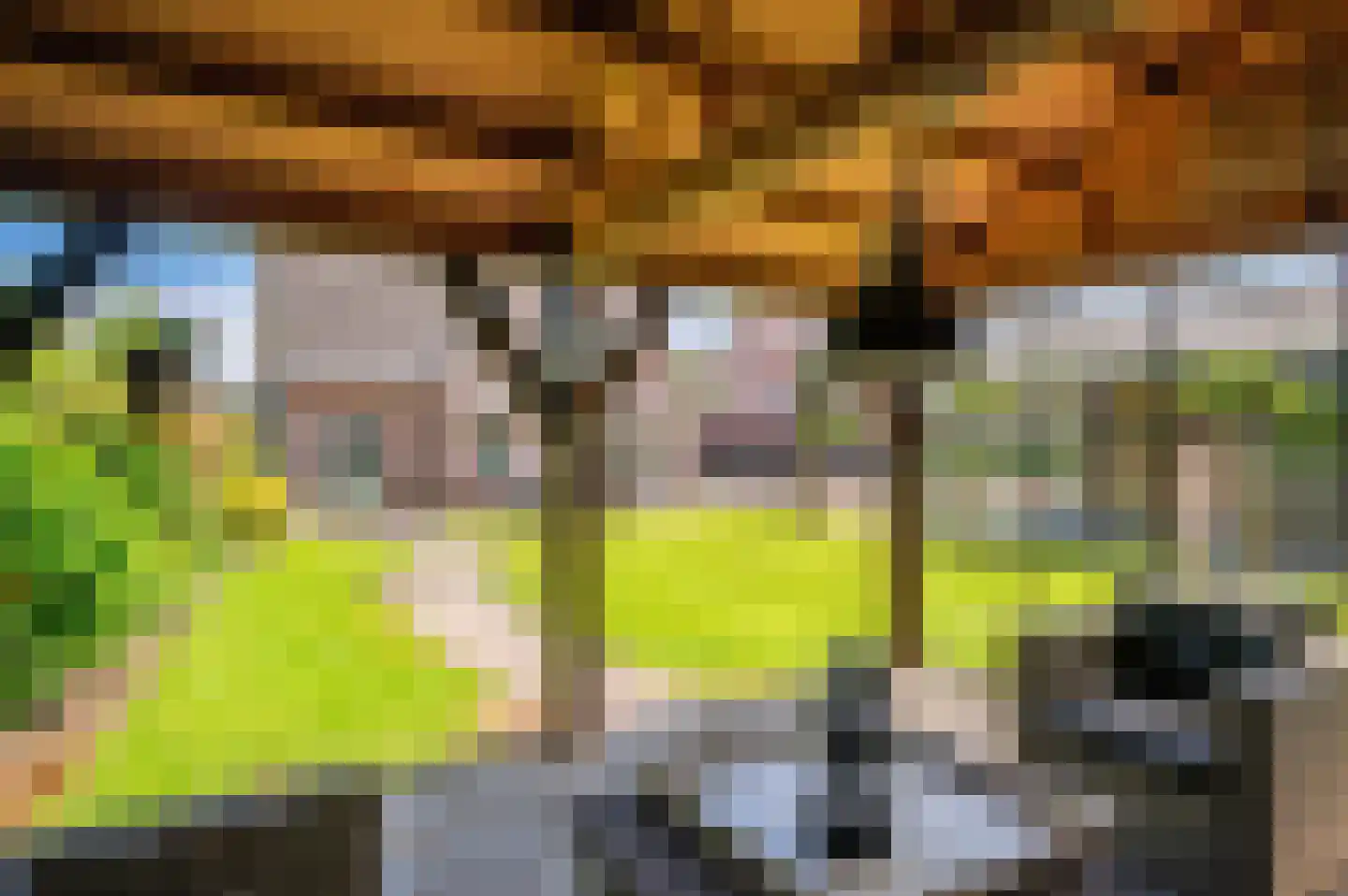 Op de Leues 27 Venlo thumbnail 50