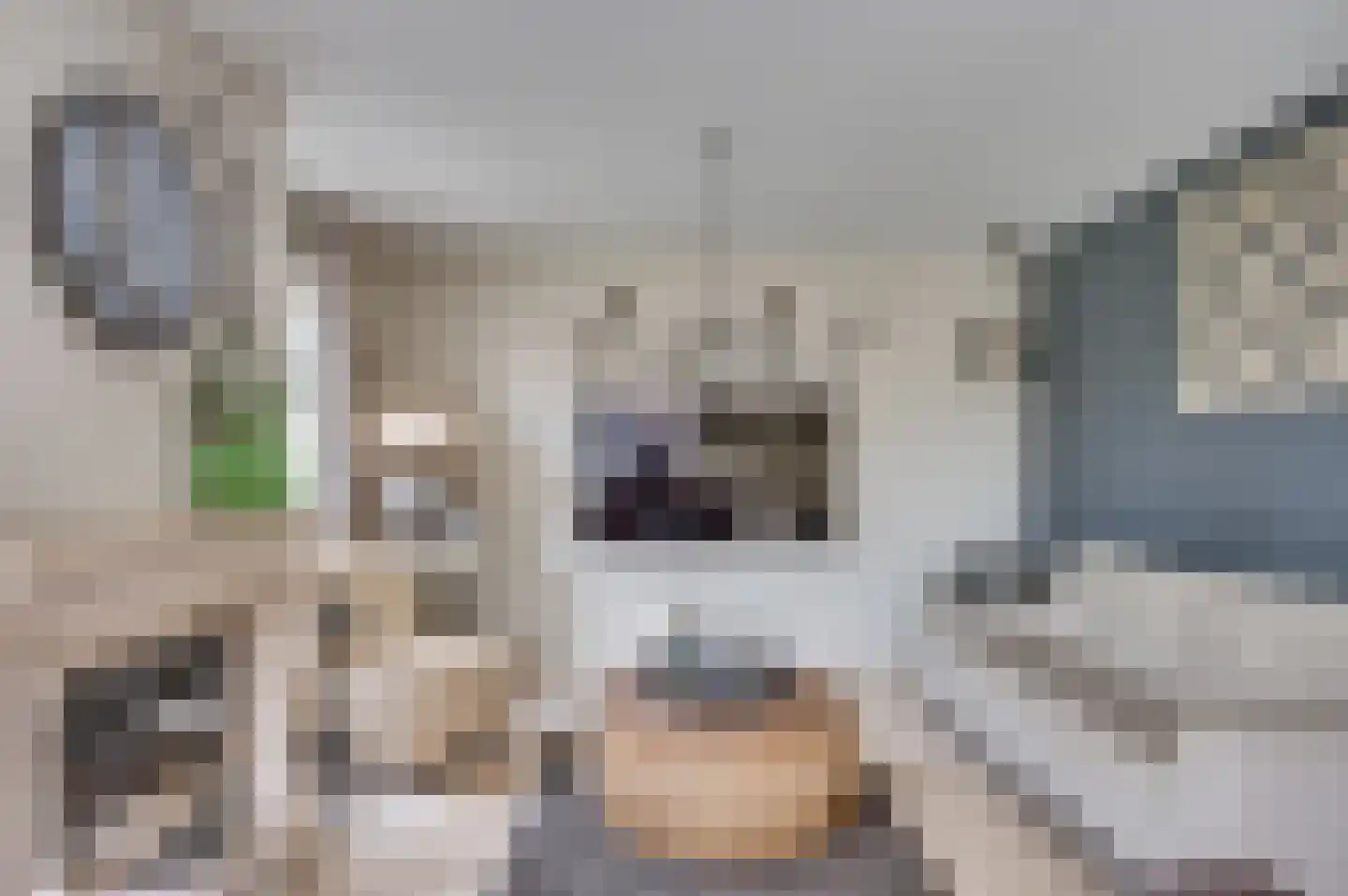 Op de Leues 27 Venlo thumbnail 7