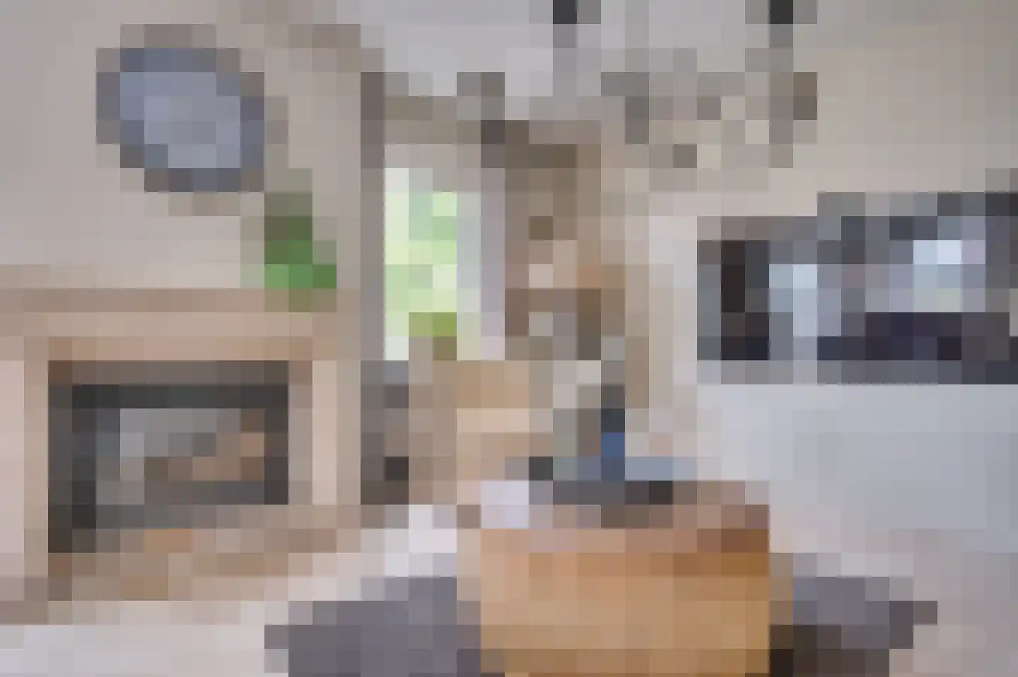 Op de Leues 27 Venlo thumbnail 8