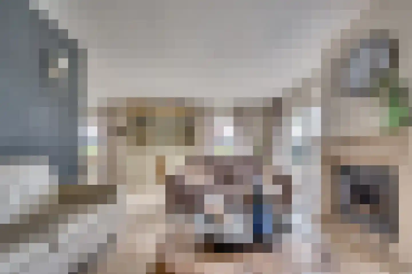 Op de Leues 27 Venlo thumbnail 9