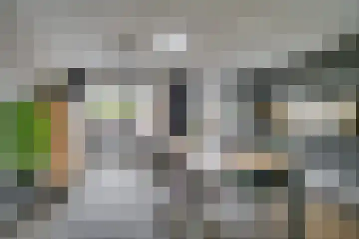 Op de Leues 59 Venlo thumbnail 8
