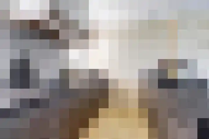 Op de Lundert 10 Helden thumbnail 17