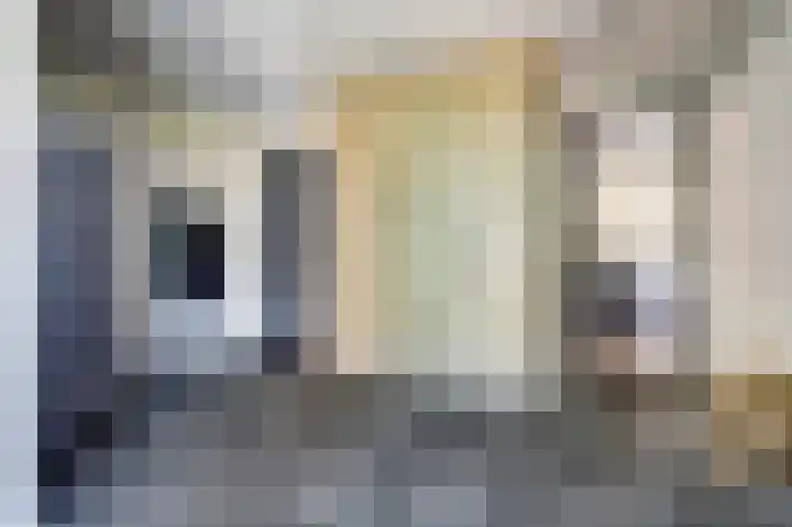 Op de Lundert 10 Helden thumbnail 20