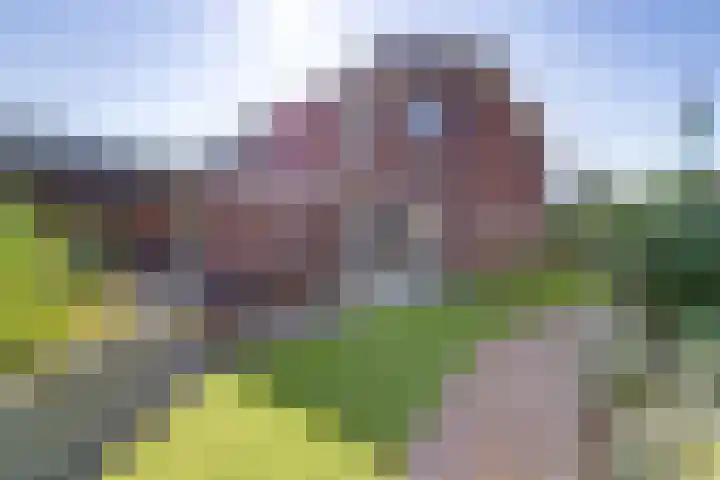 Op de Lundert 10 Helden thumbnail 41