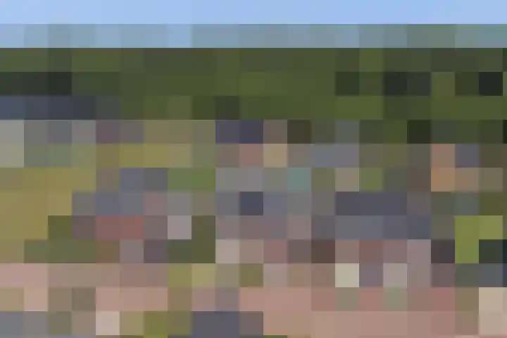 Op de Lundert 10 Helden thumbnail 50