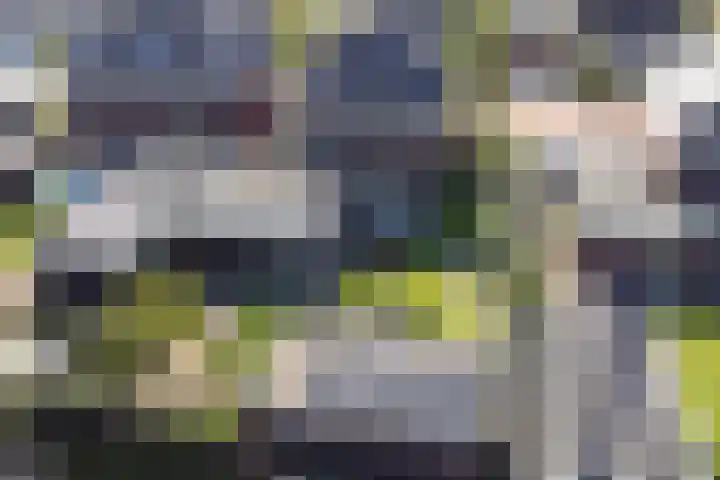 Op de Lundert 10 Helden thumbnail 52