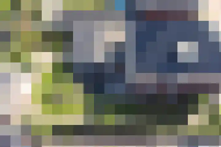 Op de Lundert 10 Helden thumbnail 53