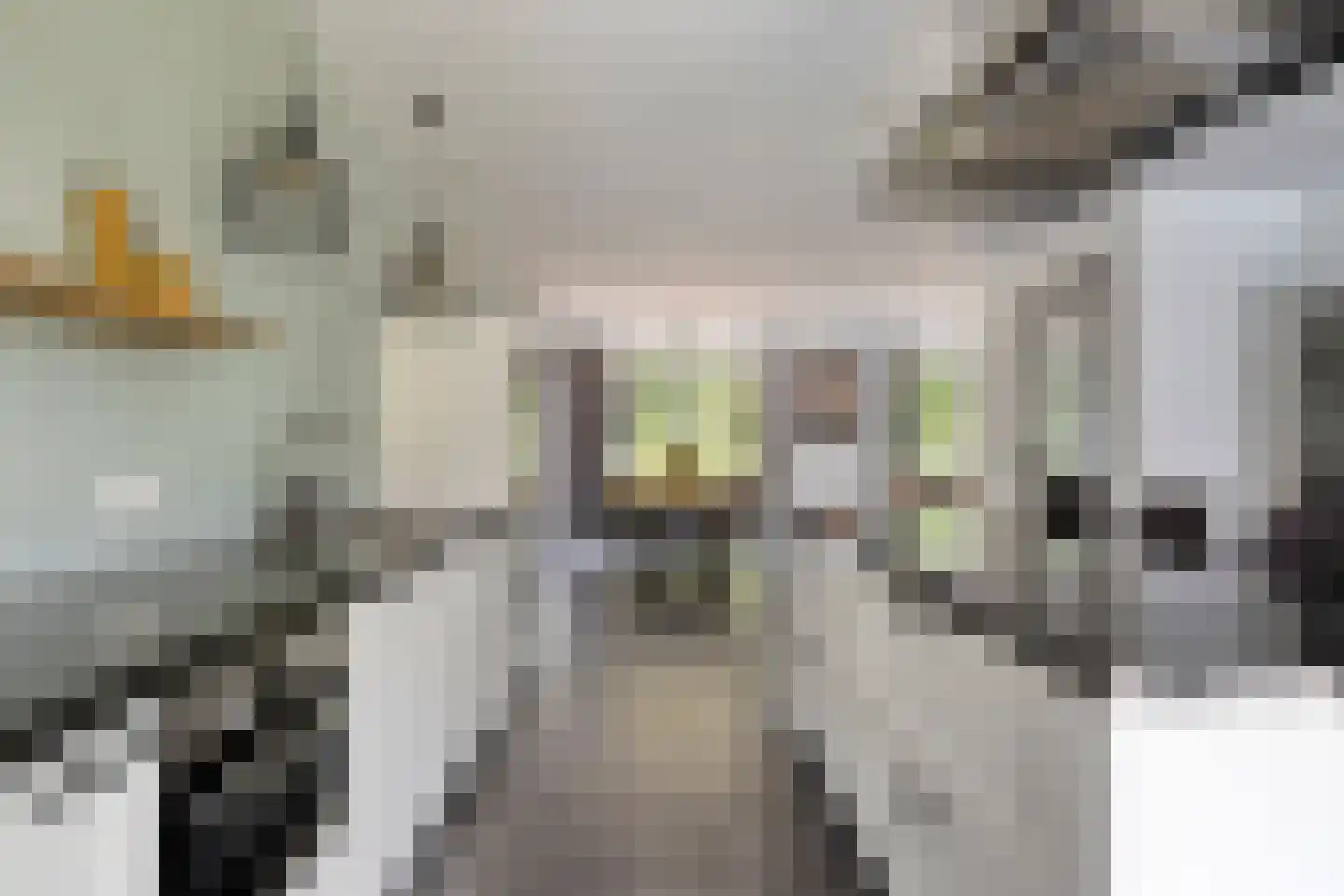 Op de Lundert 38 Helden thumbnail 21
