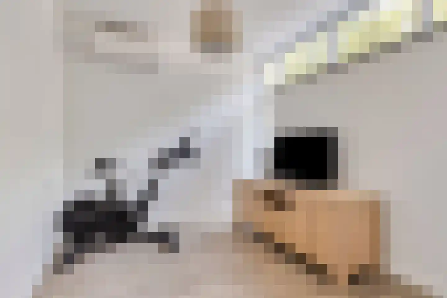 Op de Lundert 38 Helden thumbnail 37