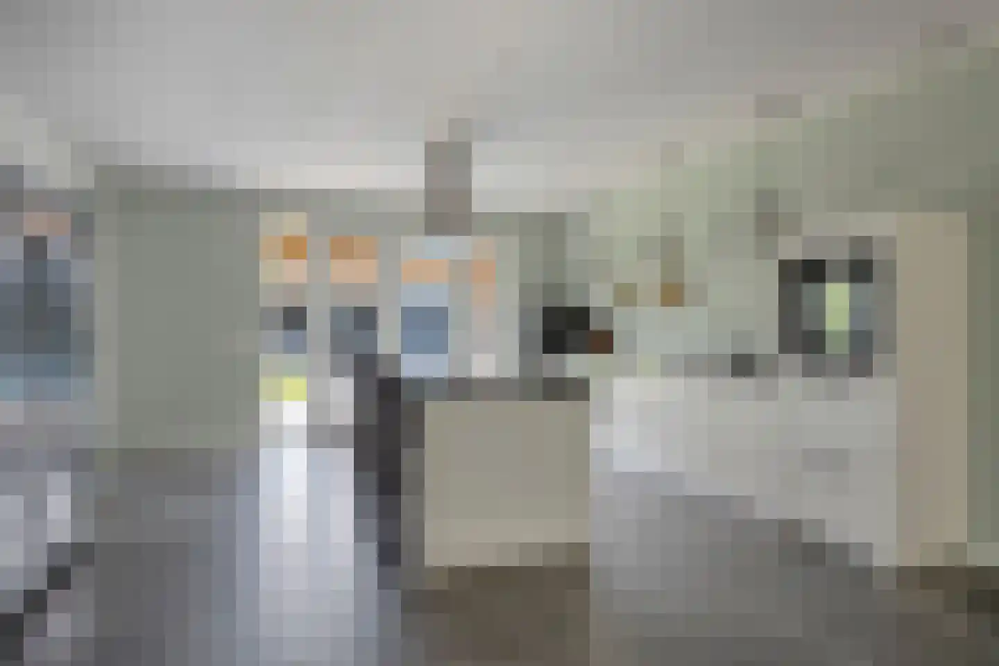 Op de Lundert 38 Helden thumbnail 4