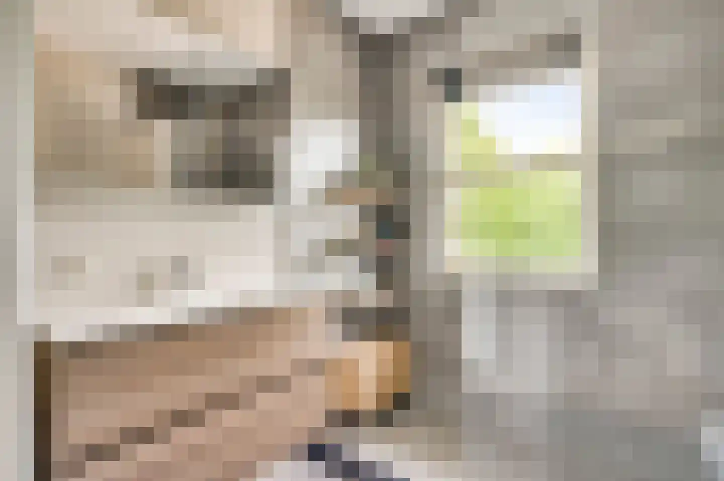 Op de Maalberg 4 Roermond thumbnail 30