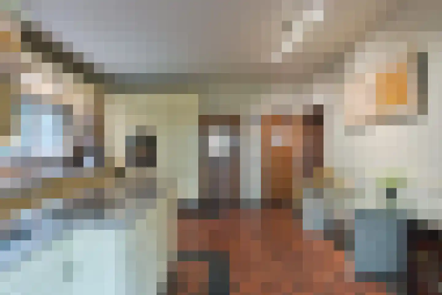 Op de Meer 3621 Lanaken Maastricht thumbnail 12