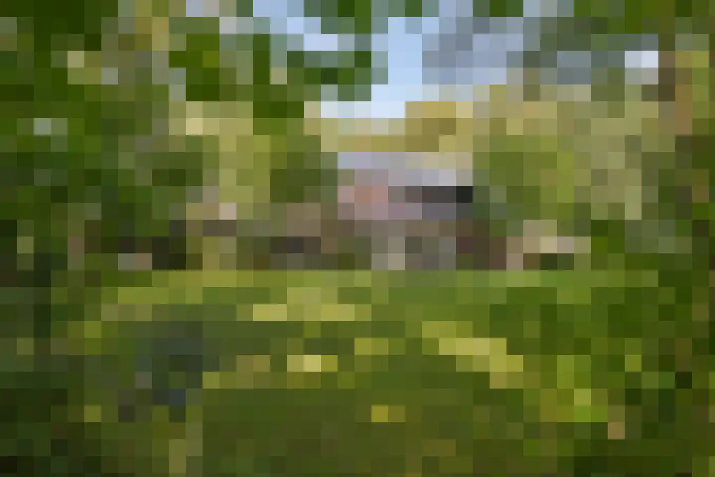 Op de Meer 3621 Lanaken Maastricht thumbnail 37
