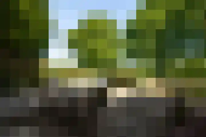 Op de Meer 52 Maastricht thumbnail 17