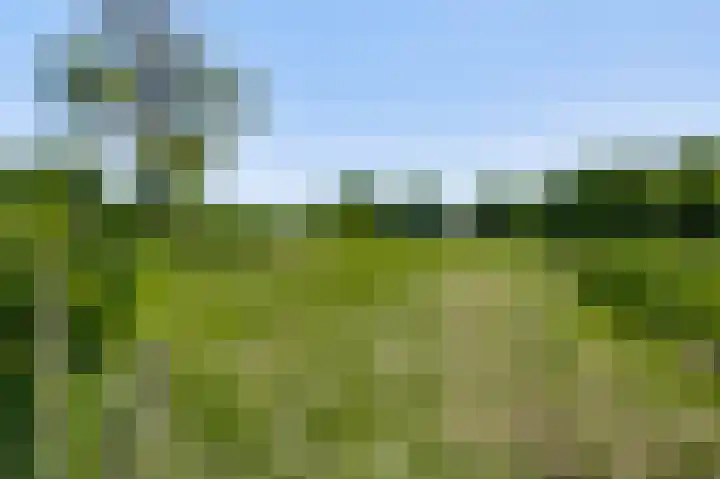 Op de Meer 52 Maastricht thumbnail 19