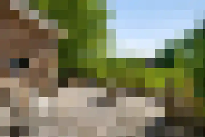 Op de Meer 52 Maastricht thumbnail 4