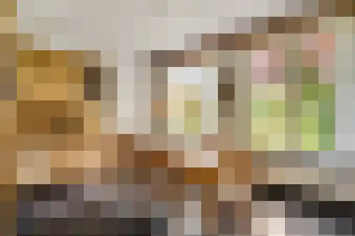 Op de Meer 52 Maastricht thumbnail 8