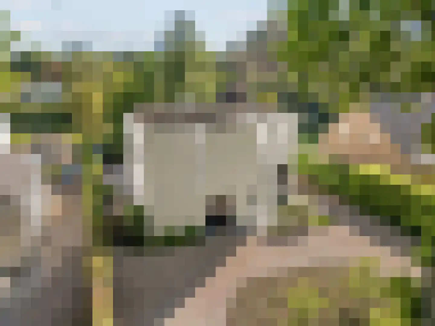 Op de Meer 75 Maastricht thumbnail 5