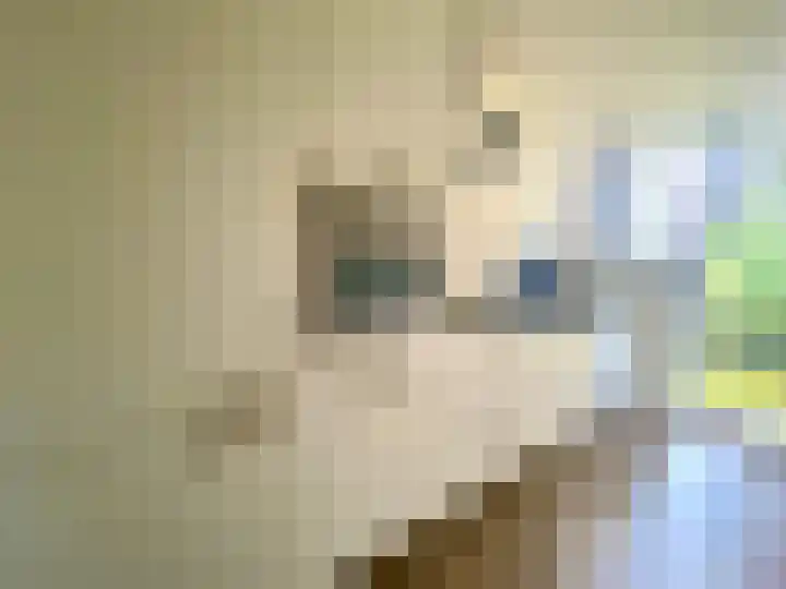 Op de Meuleberg 14 Roermond thumbnail 10