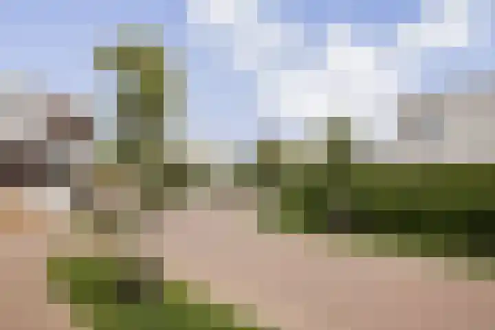 Op de Meuleberg 18 Roermond thumbnail 26