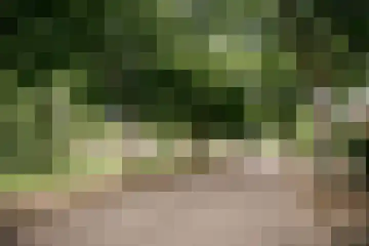 Op de Meuleberg 18 Roermond thumbnail 28
