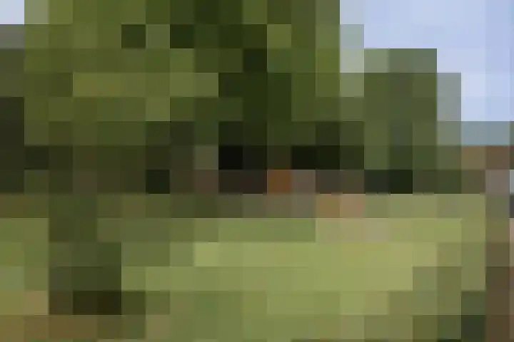 Op de Meuleberg 18 Roermond thumbnail 29