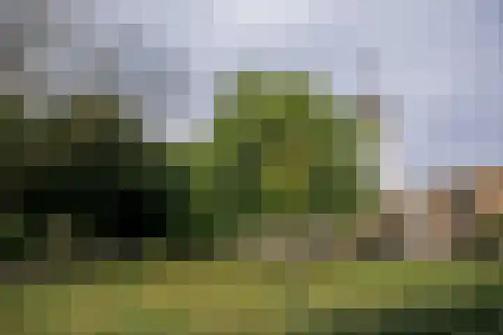 Op de Meuleberg 18 Roermond thumbnail 30
