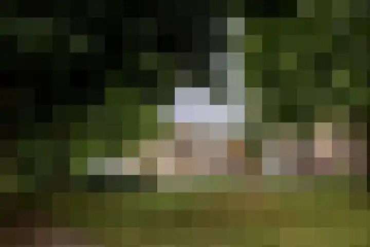 Op de Meuleberg 18 Roermond thumbnail 5