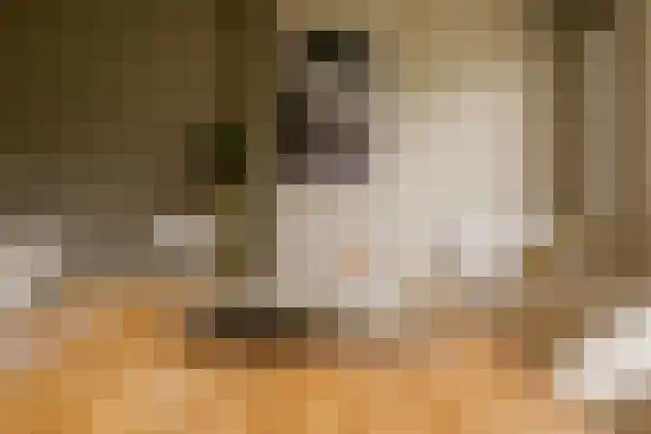 Op de Meuleberg 18 Roermond thumbnail 8