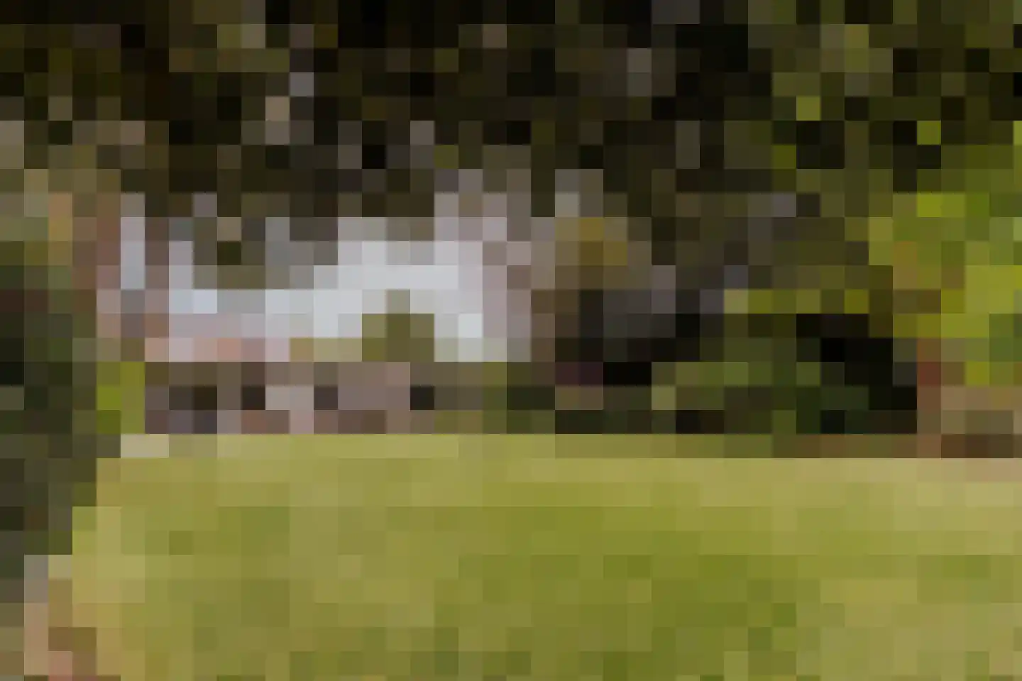 Op de Meuleberg 3 Roermond thumbnail 10