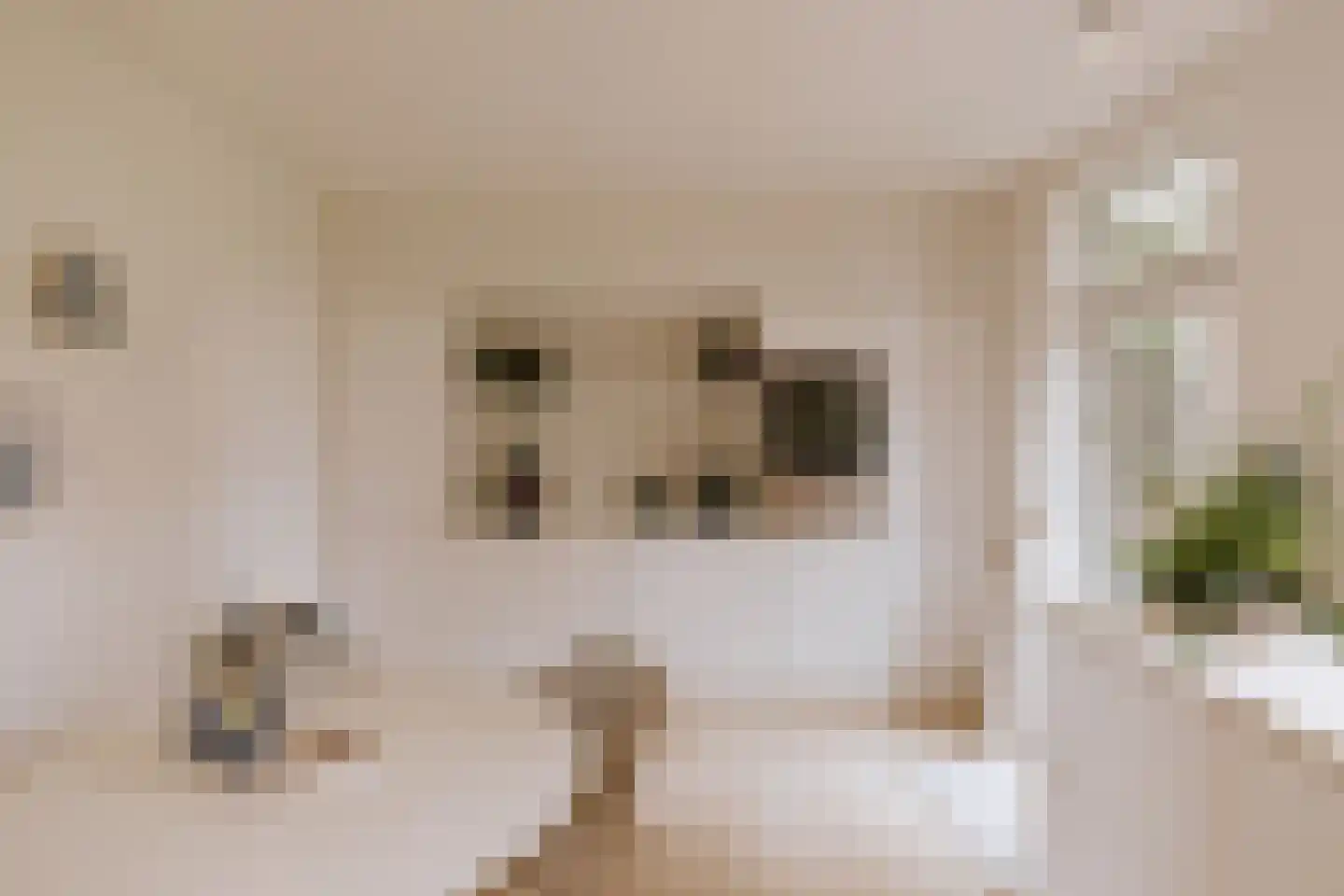 Op de Meuleberg 3 Roermond thumbnail 13