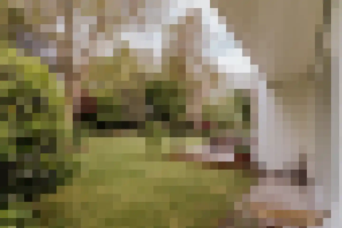 Op de Meuleberg 3 Roermond thumbnail 5
